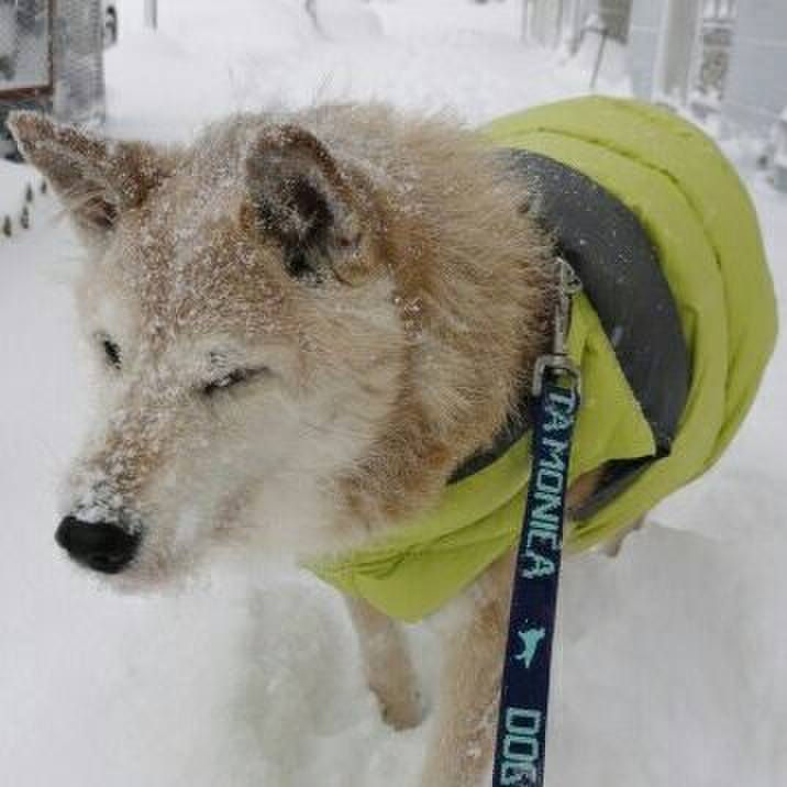 5e040fee b3f3 4a9a 9a46 33c87f42733c