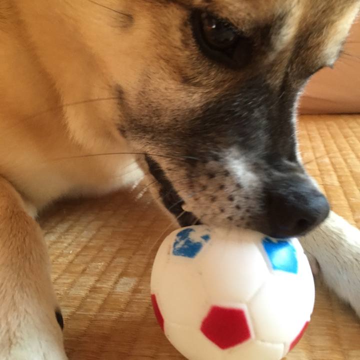 5e042657 bac6 4a0d 826b 8fef711a8a80