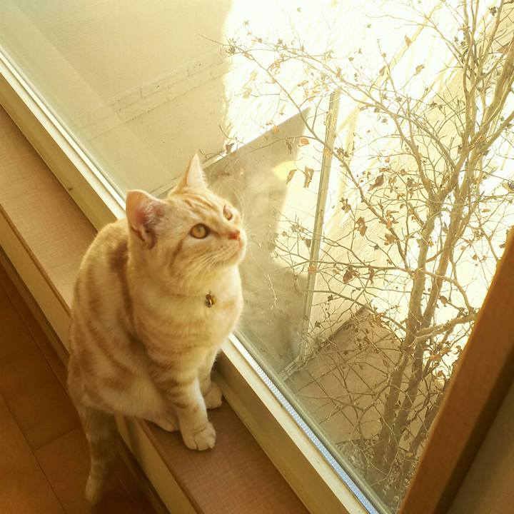 5e050d79 0260 461a 834b 693664e63400