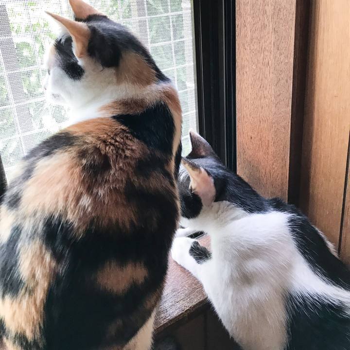 5e050eff 748f 4660 8848 c7dd8566127c