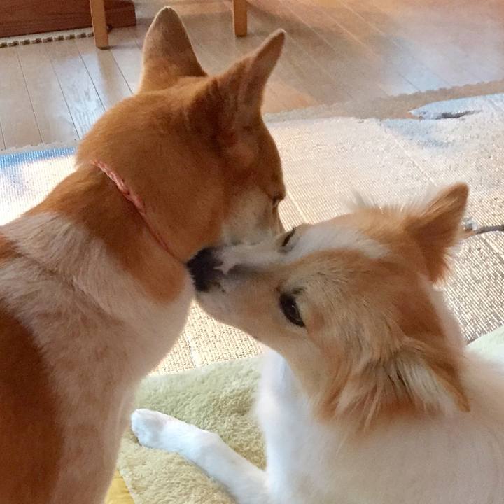 5e059680 7b5d 4916 bb0f 81a744c70332