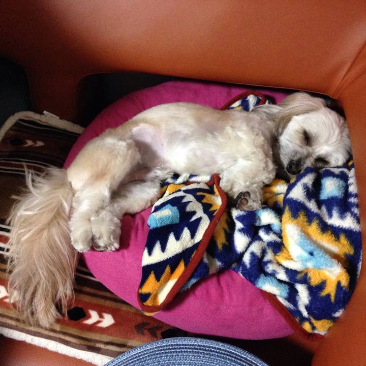 5e05b90b e837 41b1 869a 7ab3cd11a03a