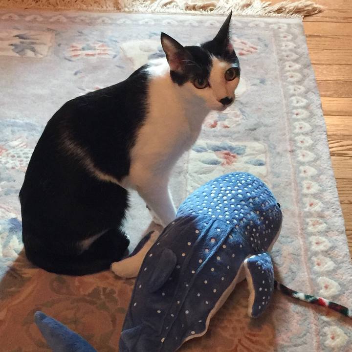 5e05de36 8561 41a5 bade c128250ddacb