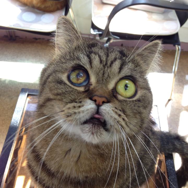 5e071e40 854f 4ae0 8cfc 9ad642046fd4