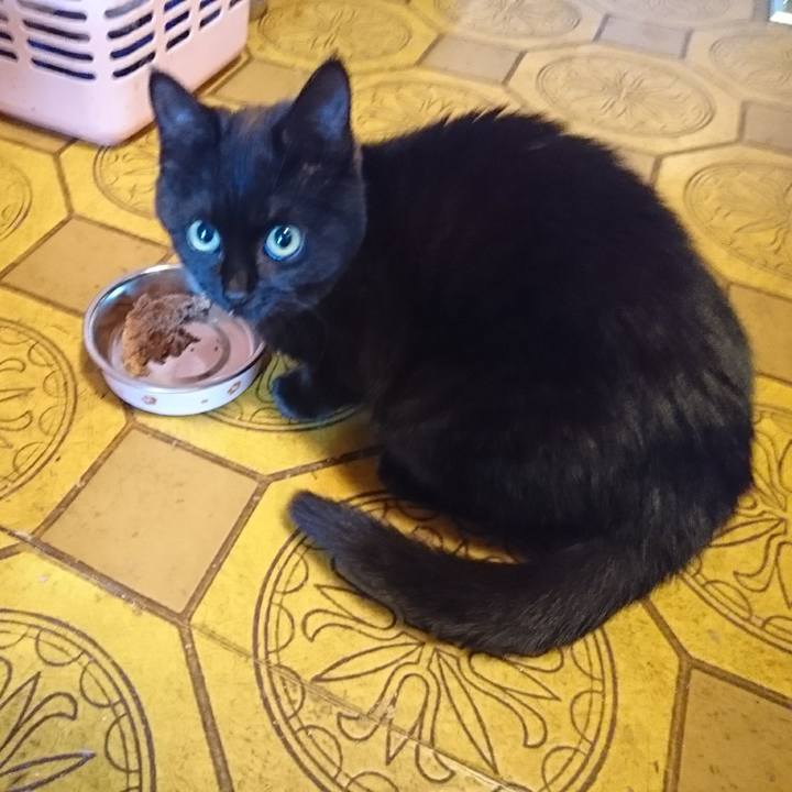 5e07ab8d 626d 49ab b200 1fa90da77c7b