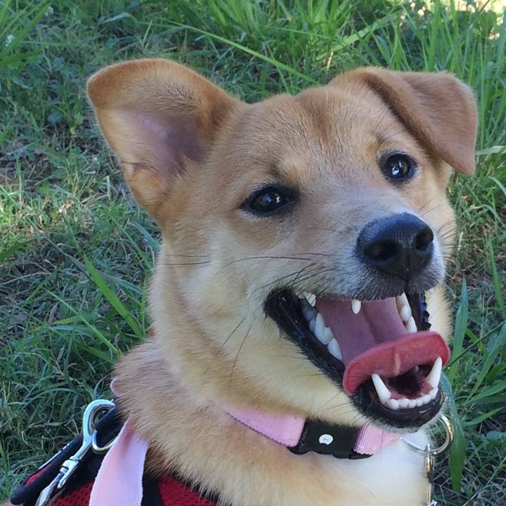 5e0850b6 baea 4fbe 84c9 c80bae763e85