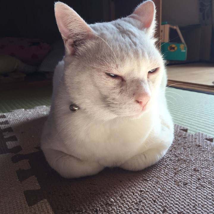 5e090375 7978 4e4d 8dfc 7edac9ca118c