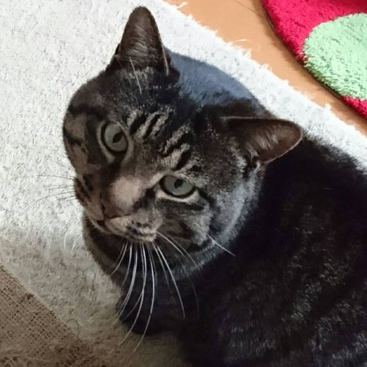 5e092e10 13b2 4e05 a175 d13d74865999