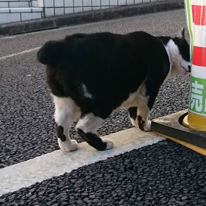 5e0982de 404f 4e93 b527 a9621ab852a0