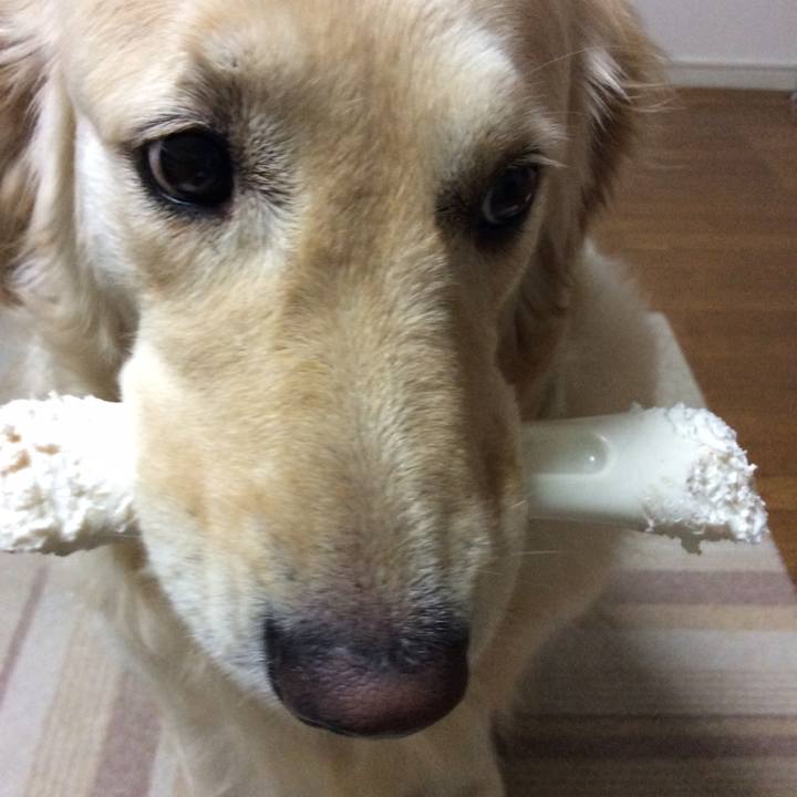 5e098ce9 ab0c 4a47 80ab 202c69054f39