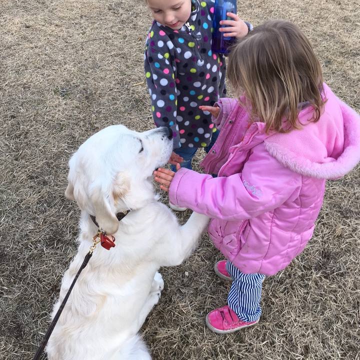 5e09c98b 5ec1 425e a626 c7f026089097