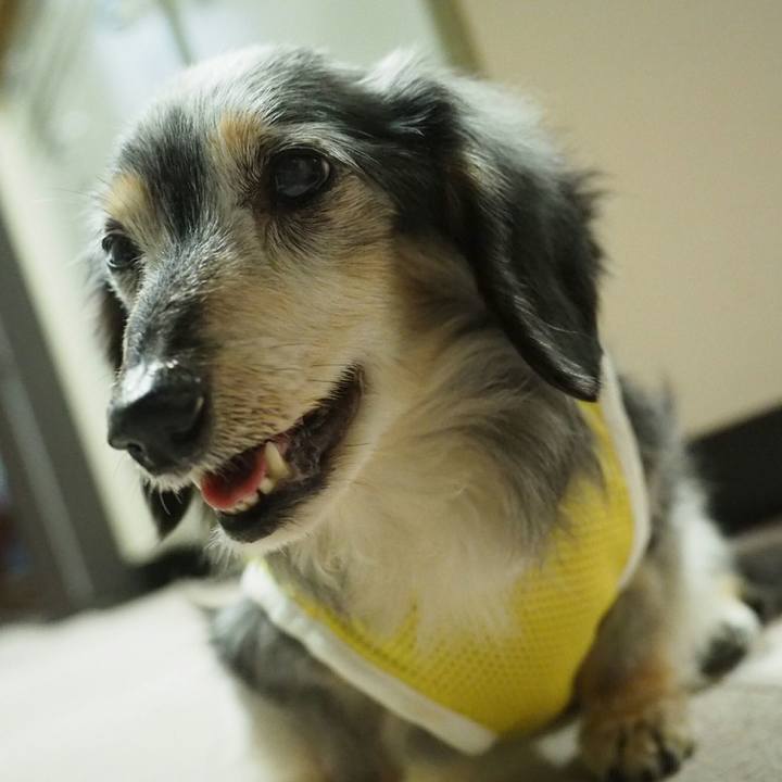 5e0b0885 c41d 429d 820b 5f0faecd777f