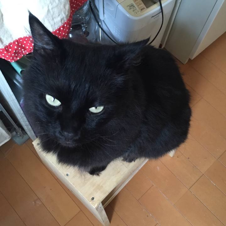 5e0b09dd 6dac 46ec a13b 905c3e355766