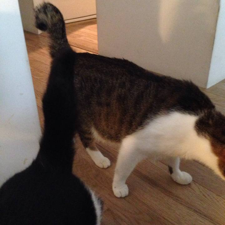 5e0bb90c a4c0 44e6 ba92 c541b63f2221