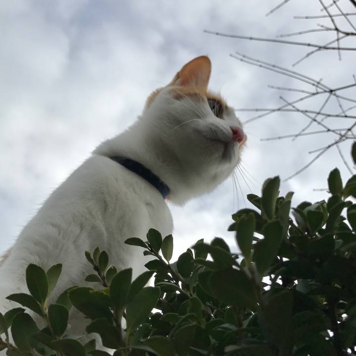 5e0c9774 9722 4142 9dbc 0c982d6d82c4