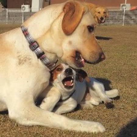 5e0cc3bc eaa2 41a3 9b84 d1f5ab5eb5c1