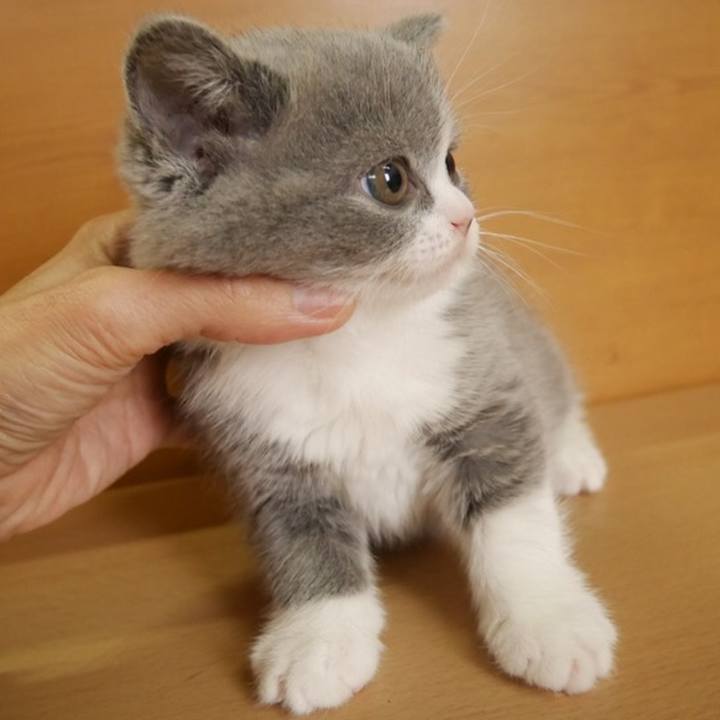 5e0d05c4 4ee6 4d02 a19e c938bf62d9fc