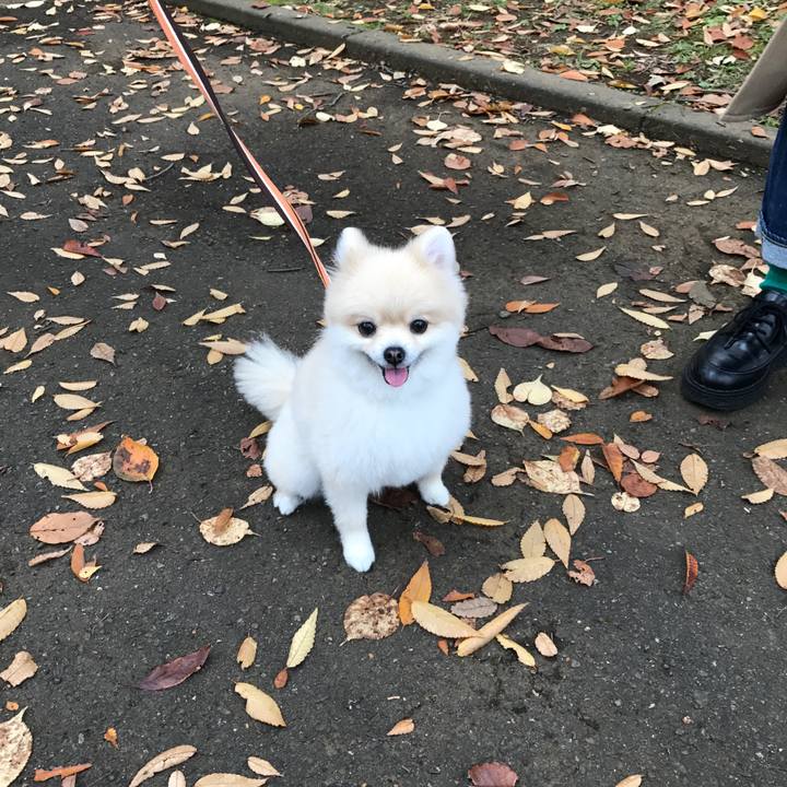 5e0dc11e d8f4 4355 b110 ad1818a03984