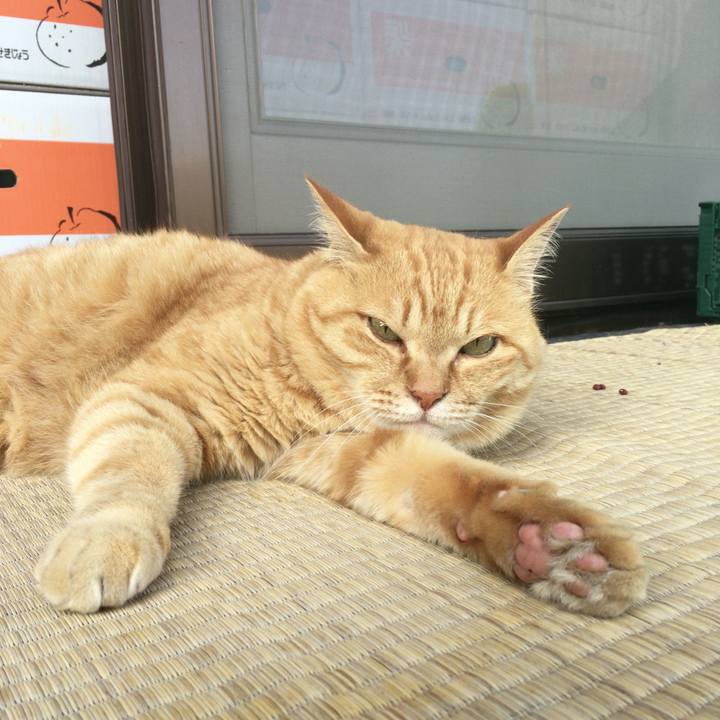 5e0e00fe 6012 48dc bad2 b41e927925fc