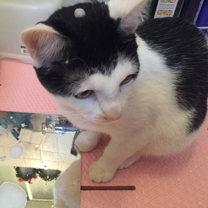 5e0f0eaf aa71 40dc a0d8 471b92e94dc6