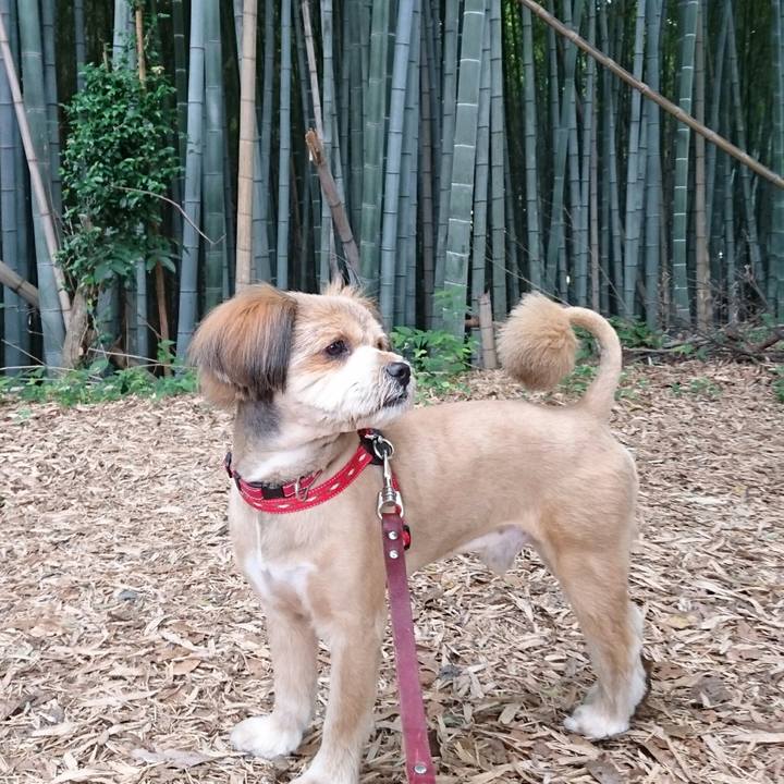 5e0faeb6 211d 4bc6 b557 65778ea7c667