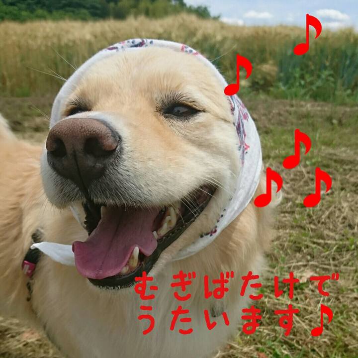 5e104dd9 5c8e 4013 8e26 eb00b2fb0924