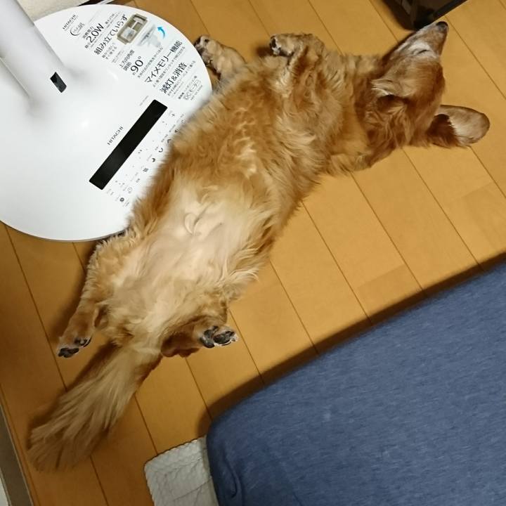 5e10a607 60bb 4c91 a1b1 dfc50605b4ad