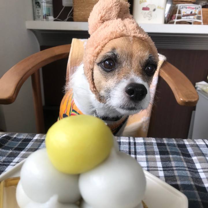 5e119b67 5f4e 4405 9506 c45967bbabdd