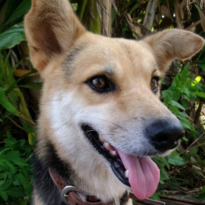 5e11f51a 41c5 4ce2 8385 22b971921af3