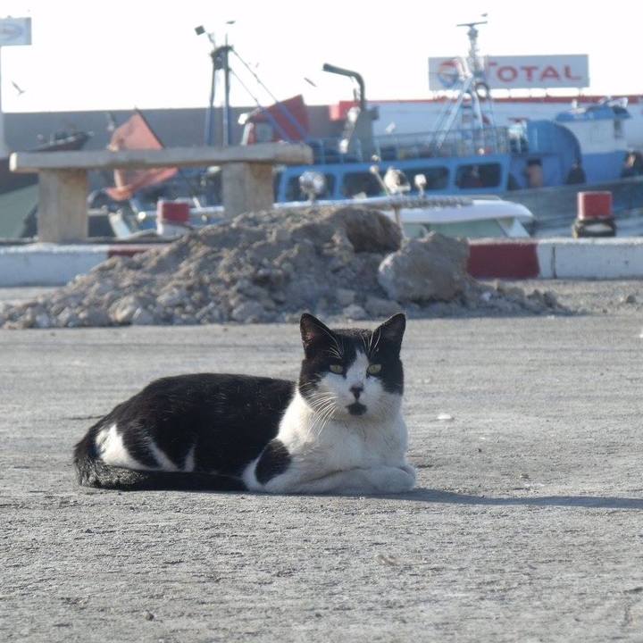 5e12f031 ef57 497b 886b 52278b7b18f7