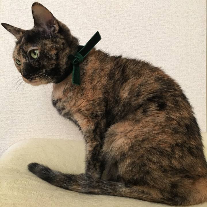 5e130d35 ef0d 4ead 9c7b 6d6f4feebc0e