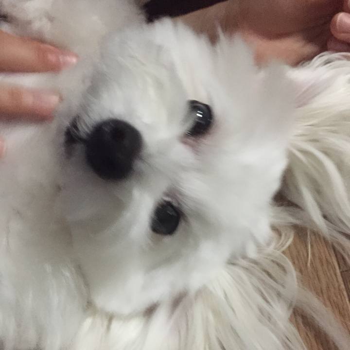 5e1342da 9bae 4cfa 8c8d 5d0c39f2ccbd