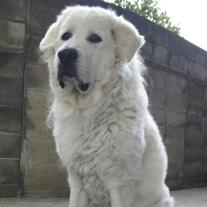 5e1362a6 e30f 4444 a63c 26deede0092f