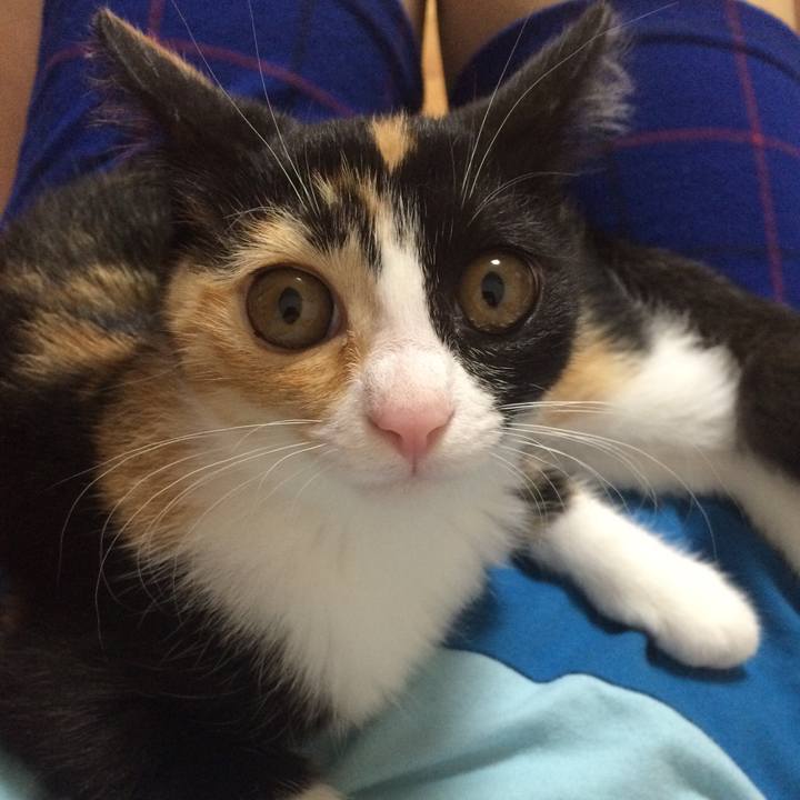 5e13b28e 6ab4 4269 96e1 50a5c07299ba