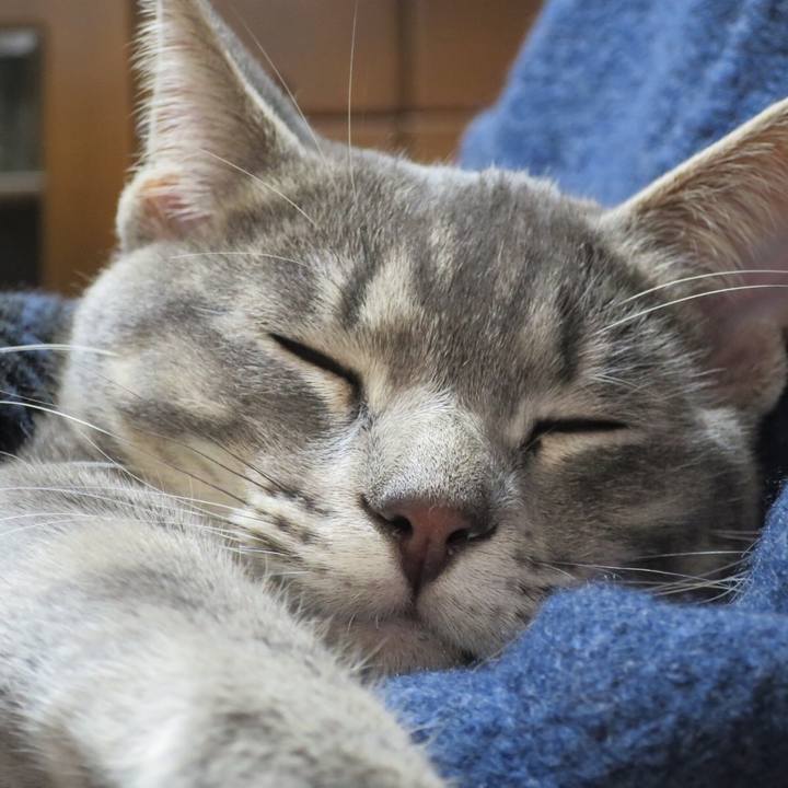 5e142f41 54f0 4b30 b6ef 16f52c95bf70