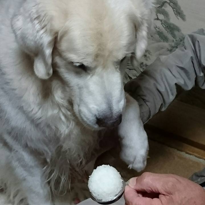 5e147617 8a2e 4dbf 847a 3451c804be27