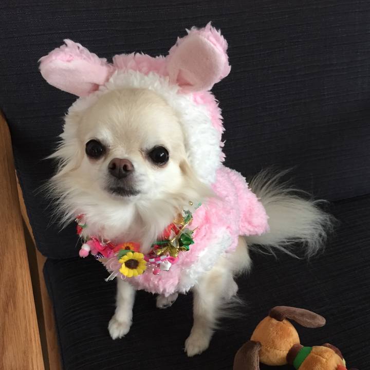 5e14a183 3320 411c 9f6b e09333d5c53f