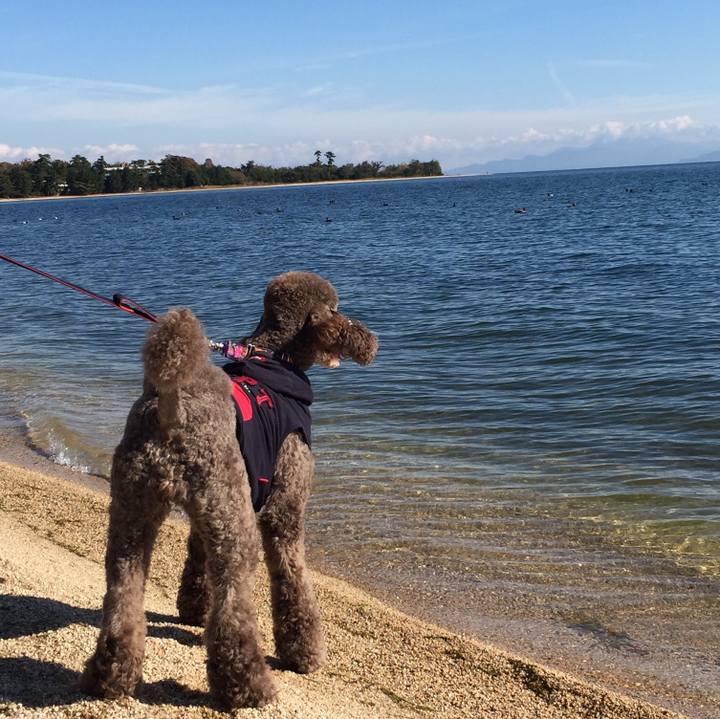 5e151dbe 97ab 4ffa 913d c5c640a1f80f