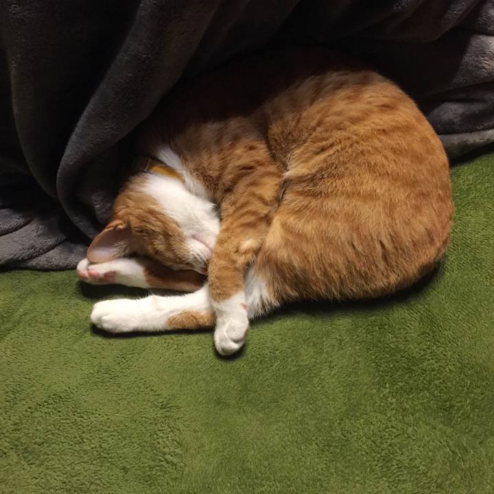 5e153e35 7696 4415 b863 7ab6014a1bbb