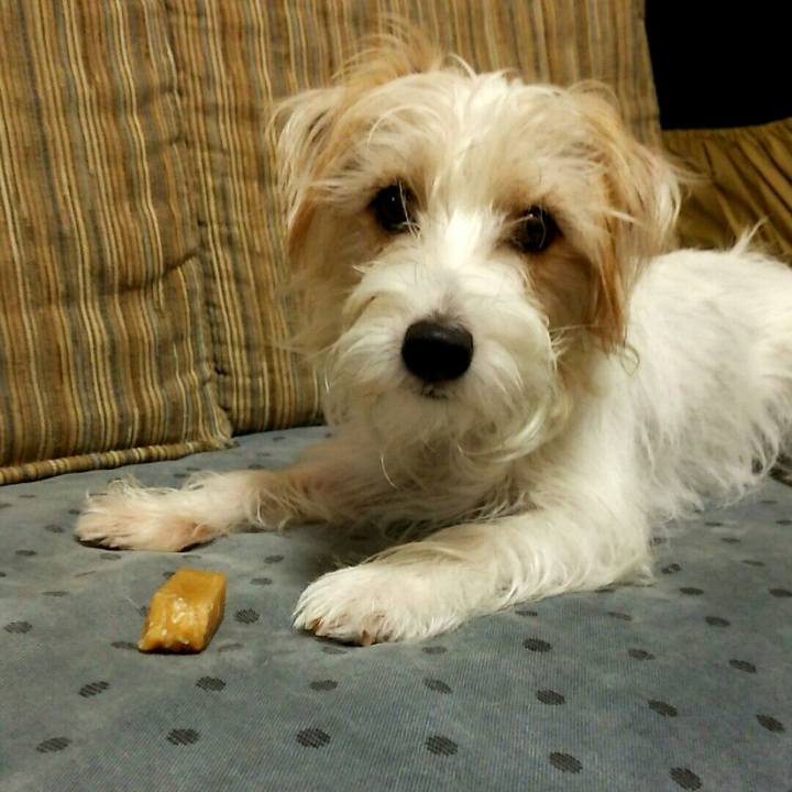 5e157d5a 4c66 42b1 b4bb 9b5986bfa9d5