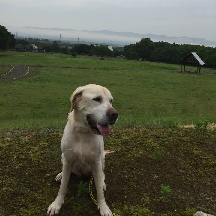 5e15b8d7 fb3d 4c17 ac04 e2d57caefbb8