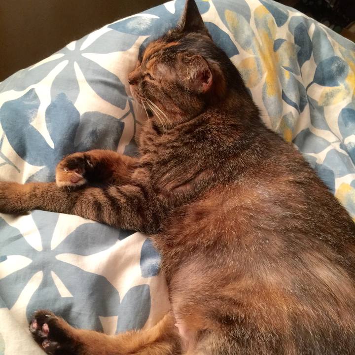 5e161591 3793 4630 acfd 6ebfec6c1b5e