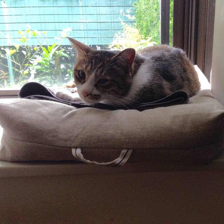 5e167409 5204 4b1c a903 22c4855d14ba