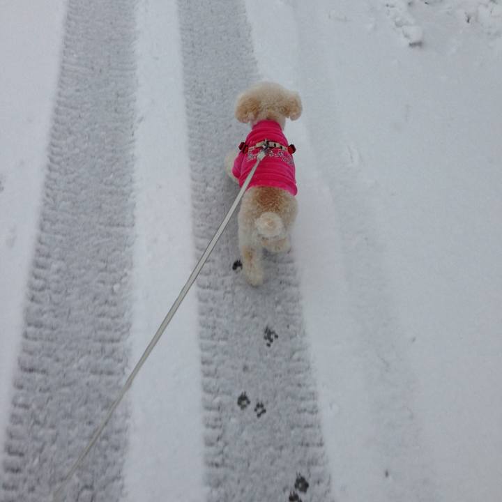 5e167c54 f31a 45d6 92d4 f680131aaf1f