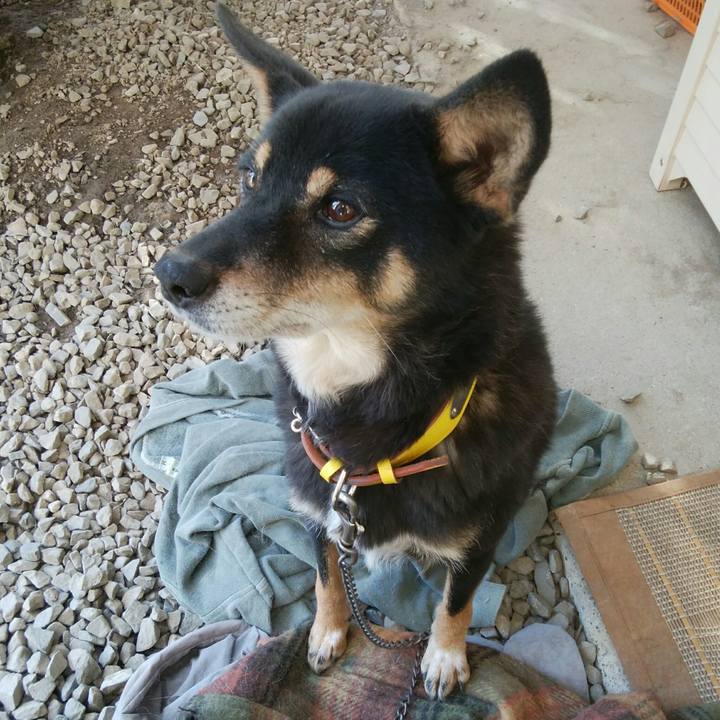 5e168a9c e1b7 4b8f b9bc b874d75938ef