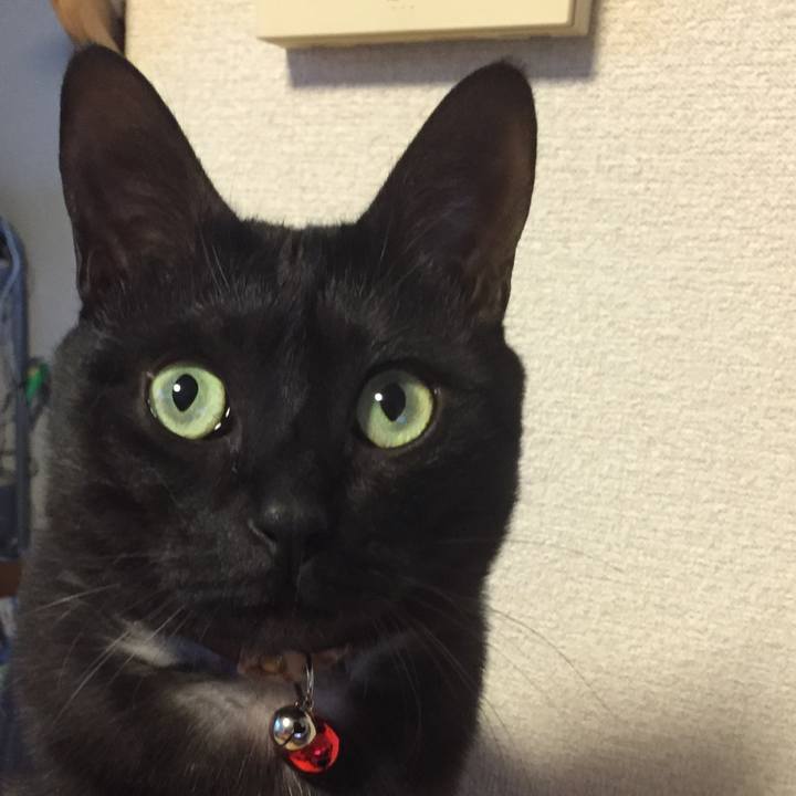 5e16bb07 451c 4110 aea9 729529419b4a