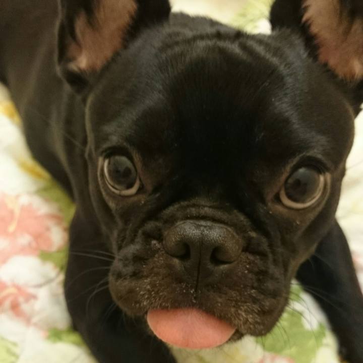 5e180175 f7b2 4322 a27a dde1838d52c1