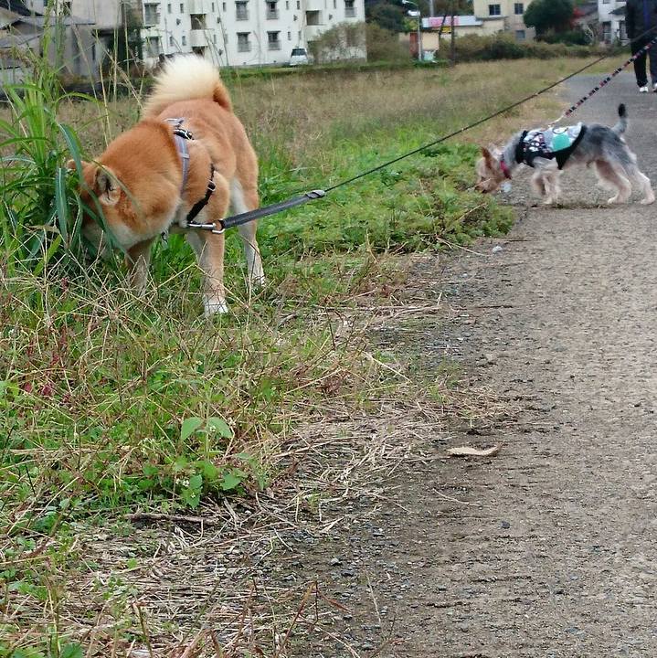 5e186172 0413 466b a8d1 e96a400fb7d6