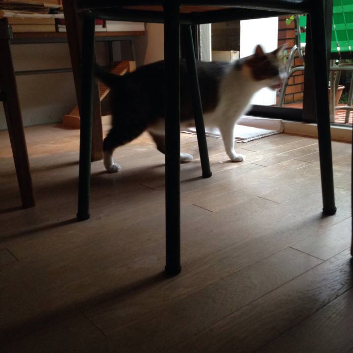 5e188740 6564 4023 89e8 1cdbf62ff825