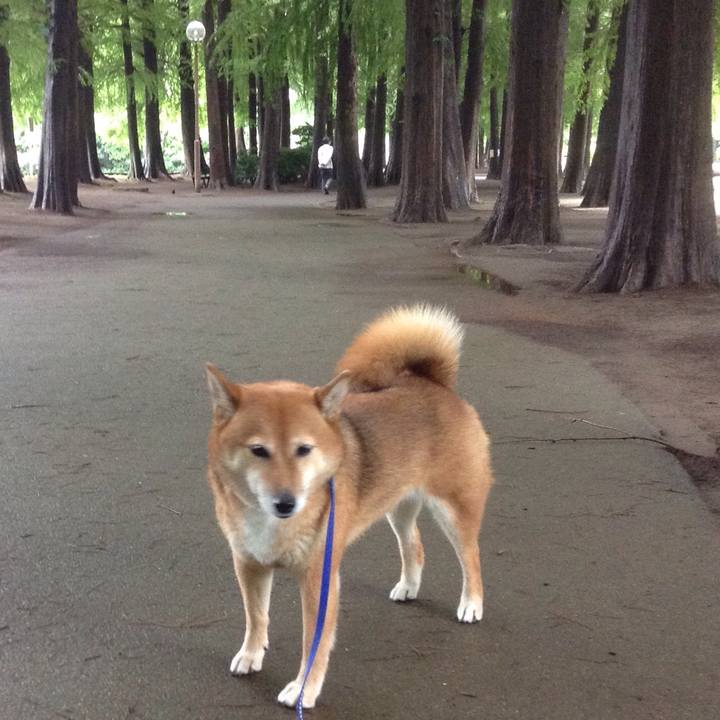 5e18a784 ea9d 4340 a7a4 8f992a5778ae